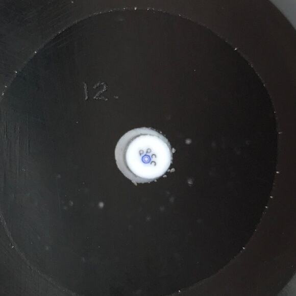 Perthshire Club First Annual Collectors 1998 PPCC Flower Latticinio Paperweight - Picture 5 of 14